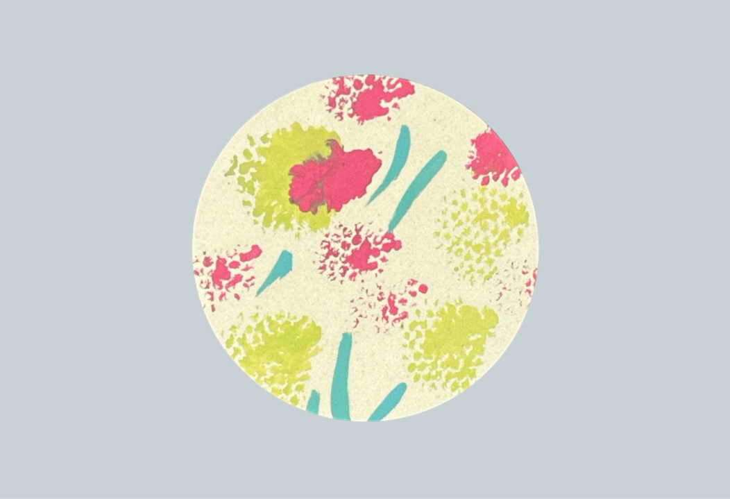 コースターの画像